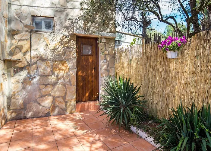 ヴィラ Olga ペフカリ