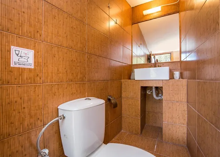 ヴィラ Olga ペフカリ